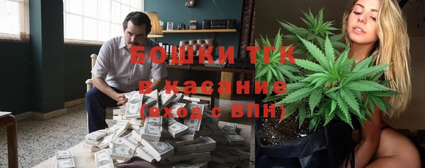 ешки Алексин
