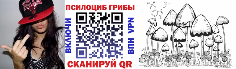 Псилоцибиновые грибы Magic Shrooms  это какой сайт  Чишмы 