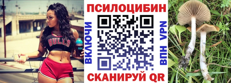 Псилоцибиновые грибы GOLDEN TEACHER Чишмы