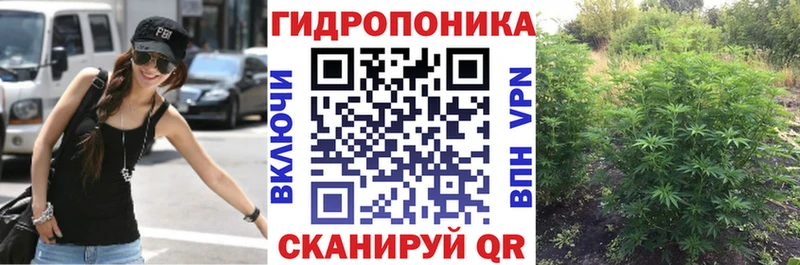 Каннабис VHQ  где продают   Чишмы 